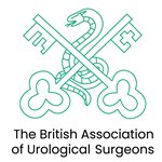 BAUS Endorses the Leng Review to Enhance Governance and Patient Safety